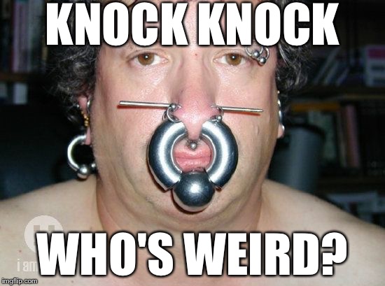 KNOCK KNOCK; WHO'S WEIRD? | image tagged in memes,funny,funny animals,raydog | made w/ Imgflip meme maker