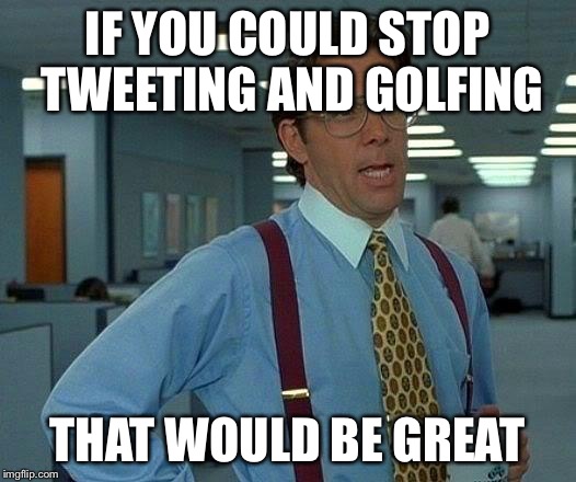 That Would Be Great Meme | IF YOU COULD STOP TWEETING AND GOLFING; THAT WOULD BE GREAT | image tagged in memes,that would be great | made w/ Imgflip meme maker
