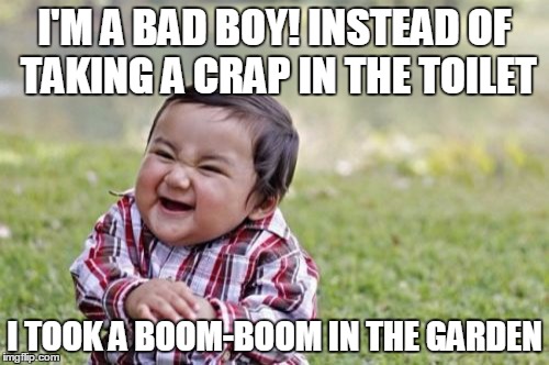 Evil Toddler Meme | I'M A BAD BOY! INSTEAD OF TAKING A CRAP IN THE TOILET; I TOOK A BOOM-BOOM IN THE GARDEN | image tagged in memes,evil toddler | made w/ Imgflip meme maker
