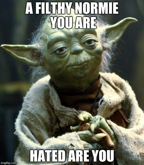 Star Wars Yoda Meme | A FILTHY NORMIE YOU ARE; HATED ARE YOU | image tagged in memes,star wars yoda | made w/ Imgflip meme maker