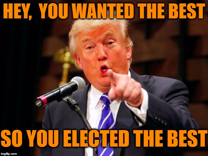 trump point | HEY,  YOU WANTED THE BEST SO YOU ELECTED THE BEST | image tagged in trump point | made w/ Imgflip meme maker
