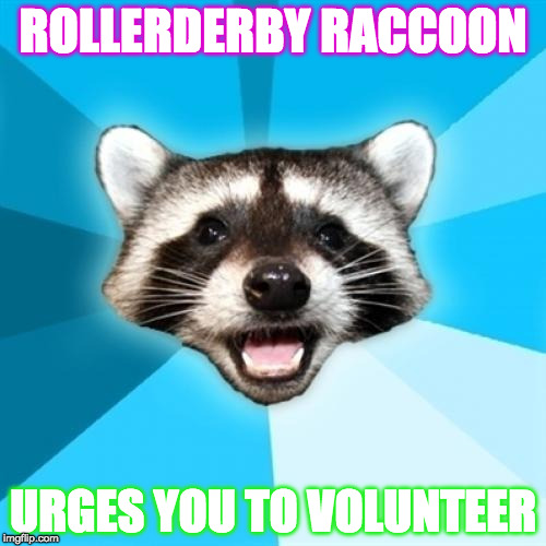 Lame Pun Coon | ROLLERDERBY RACCOON; URGES YOU TO VOLUNTEER | image tagged in memes,lame pun coon | made w/ Imgflip meme maker