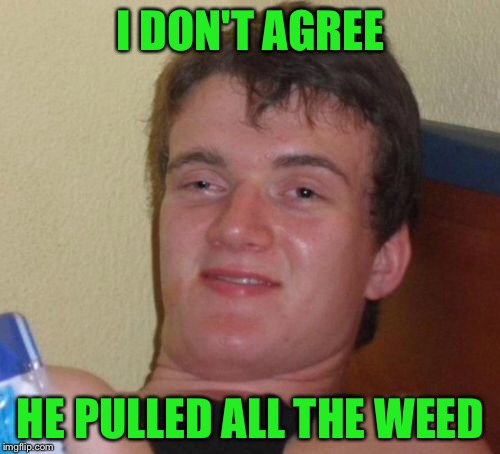 10 Guy Meme | I DON'T AGREE HE PULLED ALL THE WEED | image tagged in memes,10 guy | made w/ Imgflip meme maker