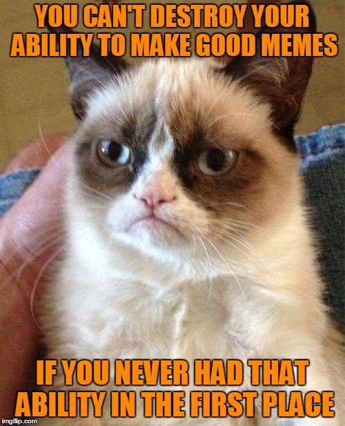 Grumpy Cat Meme | YOU CAN'T DESTROY YOUR ABILITY TO MAKE GOOD MEMES IF YOU NEVER HAD THAT ABILITY IN THE FIRST PLACE | image tagged in memes,grumpy cat | made w/ Imgflip meme maker