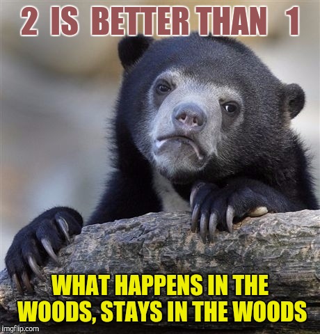 Confession Bear Meme | 2  IS  BETTER THAN   1 WHAT HAPPENS IN THE WOODS, STAYS IN THE WOODS | image tagged in memes,confession bear | made w/ Imgflip meme maker