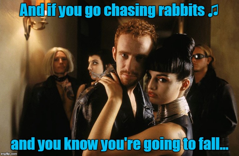 And if you go chasing rabbits ♫ and you know you're going to fall... | made w/ Imgflip meme maker