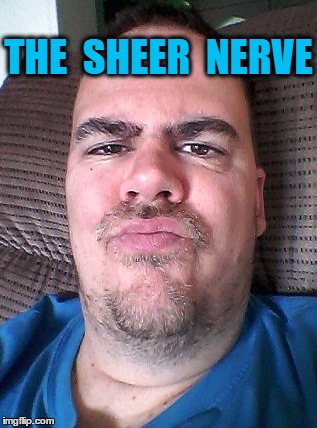 Scowl | THE  SHEER  NERVE | image tagged in scowl | made w/ Imgflip meme maker