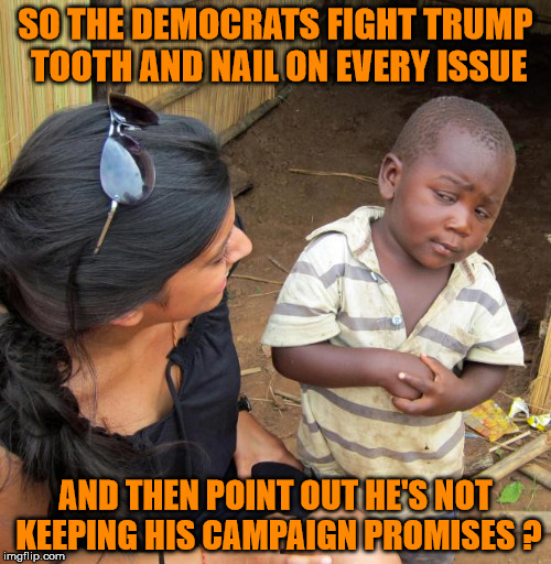 3rd World Sceptical Child | SO THE DEMOCRATS FIGHT TRUMP TOOTH AND NAIL ON EVERY ISSUE; AND THEN POINT OUT HE'S NOT KEEPING HIS CAMPAIGN PROMISES ? | image tagged in 3rd world sceptical child | made w/ Imgflip meme maker