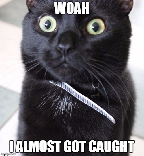 Woah Kitty | WOAH; I ALMOST GOT CAUGHT | image tagged in memes,woah kitty | made w/ Imgflip meme maker