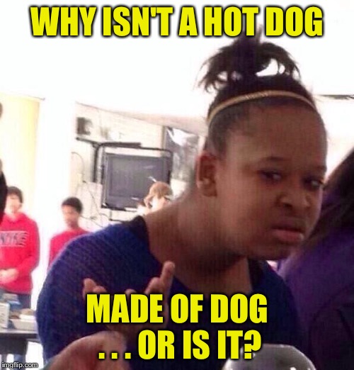 Black Girl Wat Meme | WHY ISN'T A HOT DOG MADE OF DOG . . . OR IS IT? | image tagged in memes,black girl wat | made w/ Imgflip meme maker