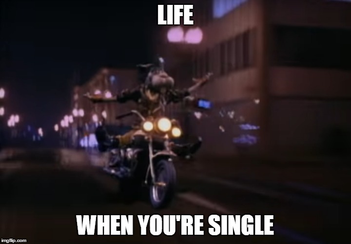 LIFE; WHEN YOU'RE SINGLE | image tagged in single life,single,single is beautiful | made w/ Imgflip meme maker