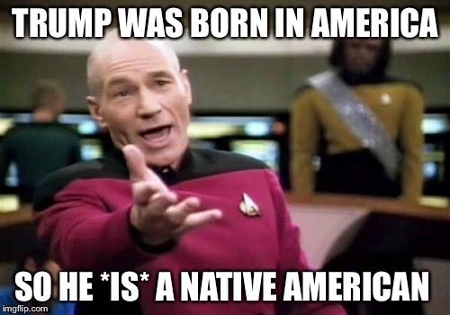 Picard Wtf Meme | TRUMP WAS BORN IN AMERICA SO HE *IS* A NATIVE AMERICAN | image tagged in memes,picard wtf | made w/ Imgflip meme maker