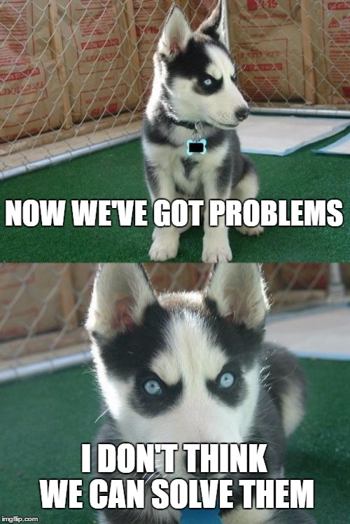 Insanity Puppy Loves Taylor Swift | NOW WE'VE GOT PROBLEMS; I DON'T THINK WE CAN SOLVE THEM | image tagged in memes,insanity puppy | made w/ Imgflip meme maker