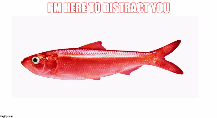 Red Herring  | I'M HERE TO DISTRACT YOU | image tagged in red herring | made w/ Imgflip meme maker