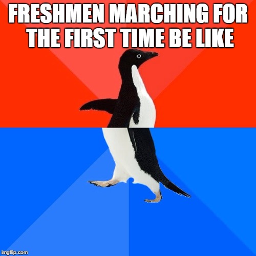 Socially Awesome Awkward Penguin Meme | FRESHMEN MARCHING FOR THE FIRST TIME BE LIKE | image tagged in memes,socially awesome awkward penguin | made w/ Imgflip meme maker