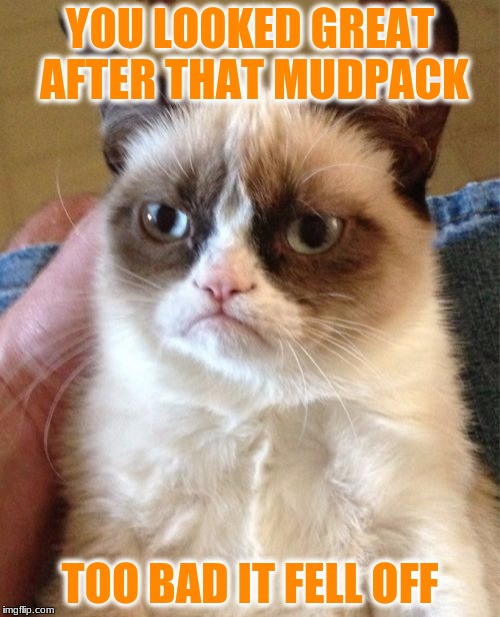 Grumpy Cat | YOU LOOKED GREAT AFTER THAT MUDPACK; TOO BAD IT FELL OFF | image tagged in memes,grumpy cat | made w/ Imgflip meme maker