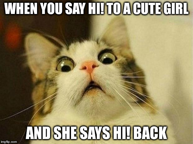 Scared Cat | WHEN YOU SAY HI! TO A CUTE GIRL; AND SHE SAYS HI! BACK | image tagged in memes,scared cat | made w/ Imgflip meme maker