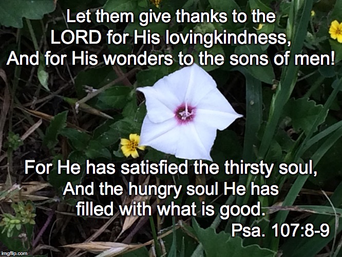 Let them give thanks to the; LORD for His lovingkindness, And for His wonders to the sons of men! For He has satisfied the thirsty soul, And the hungry soul He has; filled with what is good. Psa. 107:8-9 | image tagged in satisfied | made w/ Imgflip meme maker