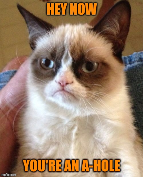 Grumpy Cat Meme | HEY NOW YOU'RE AN A-HOLE | image tagged in memes,grumpy cat | made w/ Imgflip meme maker