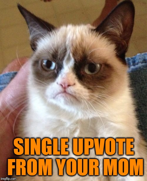 Grumpy Cat Meme | SINGLE UPVOTE FROM YOUR MOM | image tagged in memes,grumpy cat | made w/ Imgflip meme maker