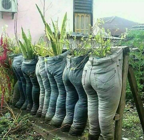 High Quality Jean Planters Blank Meme Template