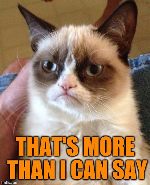 Grumpy Cat Meme | THAT'S MORE THAN I CAN SAY | image tagged in memes,grumpy cat | made w/ Imgflip meme maker