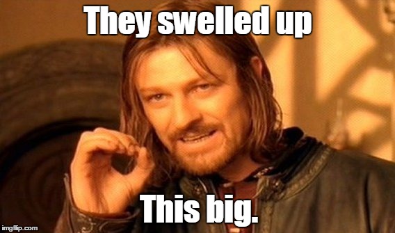 One Does Not Simply Meme | They swelled up This big. | image tagged in memes,one does not simply | made w/ Imgflip meme maker