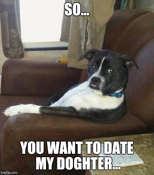 "So..." doggo | image tagged in doggo,dad,dating,dog,dogs | made w/ Imgflip meme maker