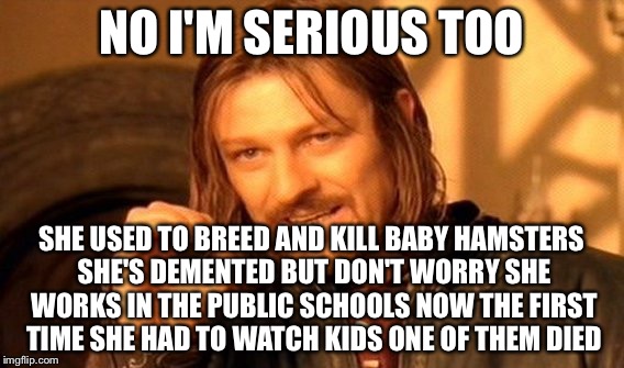 One Does Not Simply Meme | NO I'M SERIOUS TOO SHE USED TO BREED AND KILL BABY HAMSTERS SHE'S DEMENTED BUT DON'T WORRY SHE WORKS IN THE PUBLIC SCHOOLS NOW THE FIRST TIM | image tagged in memes,one does not simply | made w/ Imgflip meme maker