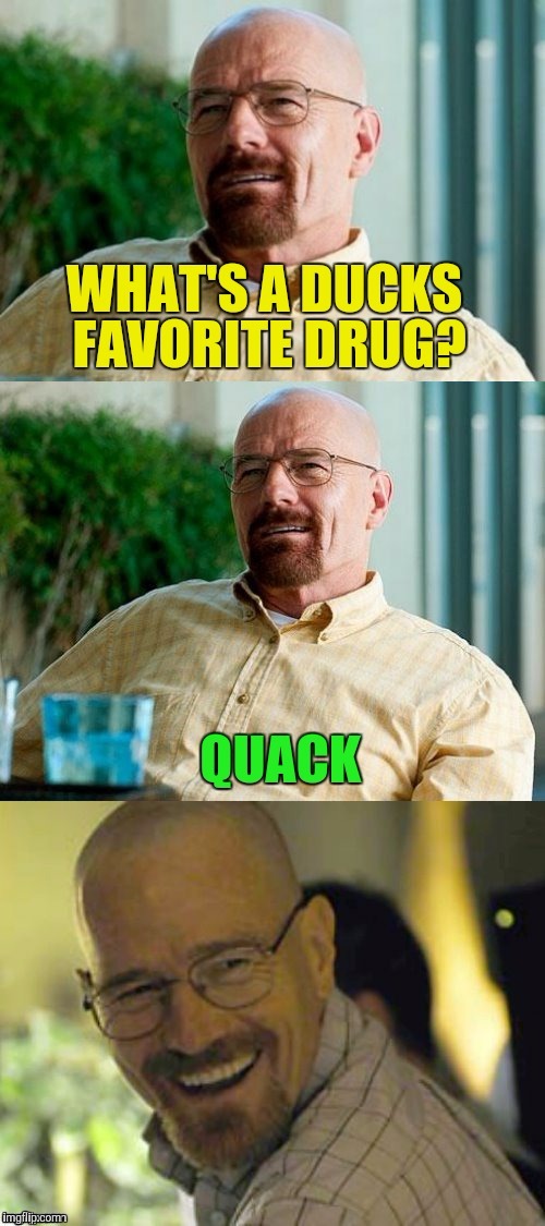 Thanks to DashHopes for this meme, from the needameme stream! | image tagged in needameme,dashhopes,drugs,puns,duck,quack | made w/ Imgflip meme maker