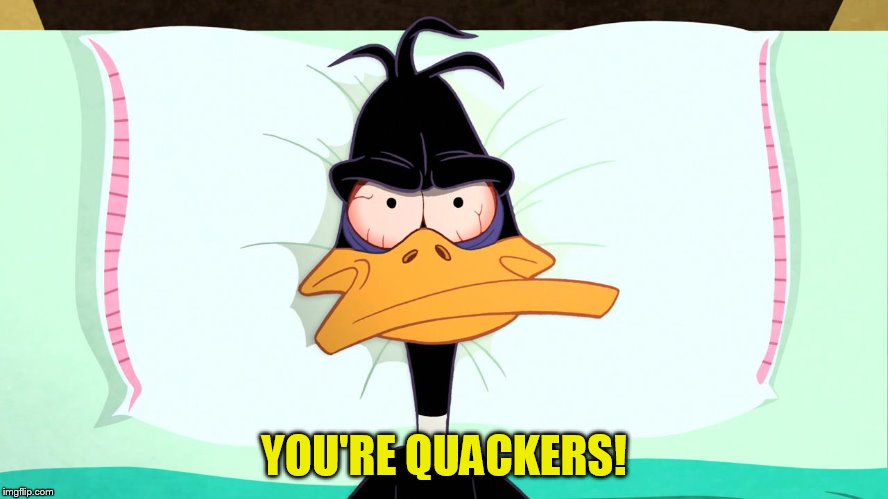YOU'RE QUACKERS! | made w/ Imgflip meme maker