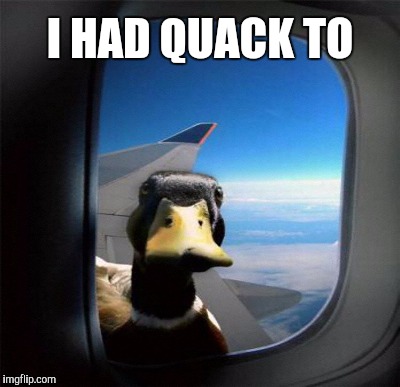 I HAD QUACK TO | made w/ Imgflip meme maker