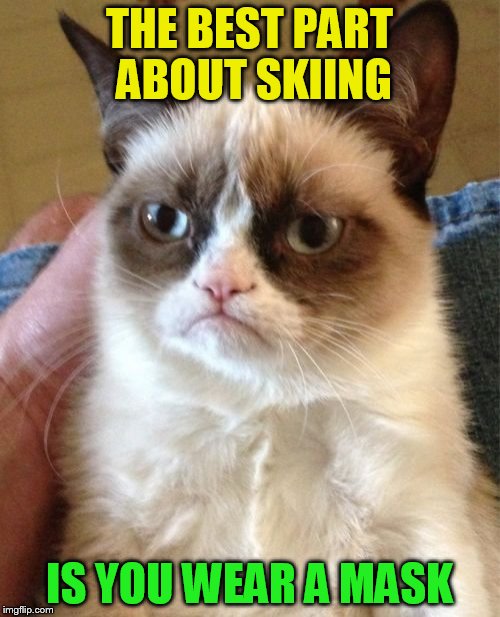 Grumpy Cat Meme | THE BEST PART ABOUT SKIING IS YOU WEAR A MASK | image tagged in memes,grumpy cat | made w/ Imgflip meme maker