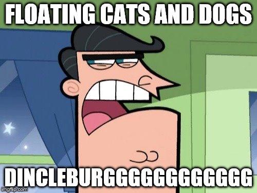 Timmy Turner's dad | FLOATING CATS AND DOGS; DINCLEBURGGGGGGGGGGGG | image tagged in timmy turner's dad | made w/ Imgflip meme maker