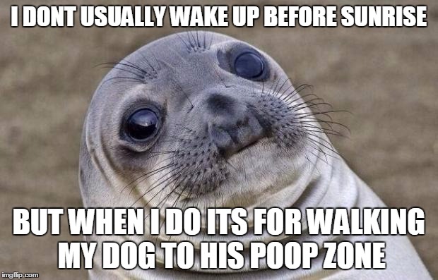 Awkward Moment Sealion | I DONT USUALLY WAKE UP BEFORE SUNRISE; BUT WHEN I DO ITS FOR WALKING MY DOG TO HIS POOP ZONE | image tagged in memes,awkward moment sealion | made w/ Imgflip meme maker