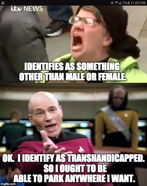 It's what you identify as. | IDENTIFIES AS SOMETHING OTHER THAN MALE OR FEMALE. OK.  I IDENTIFY AS TRANSHANDICAPPED.  SO I OUGHT TO BE ABLE TO PARK ANYWHERE I WANT. | image tagged in did you just assume my gender | made w/ Imgflip meme maker