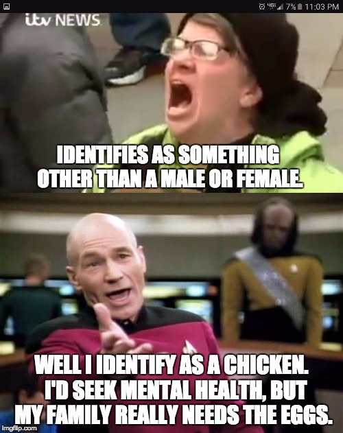 It's what you identify as that really matters. | IDENTIFIES AS SOMETHING OTHER THAN A MALE OR FEMALE. WELL I IDENTIFY AS A CHICKEN.  I'D SEEK MENTAL HEALTH, BUT MY FAMILY REALLY NEEDS THE EGGS. | image tagged in transgender | made w/ Imgflip meme maker