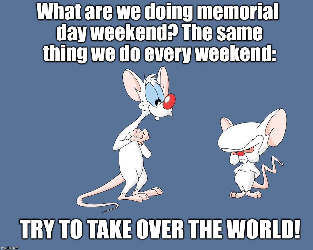 The same thing we do every weekend:; TRY TO TAKE OVER THE WORLD! image tagg...