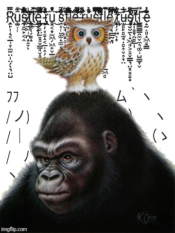 Untitled | NEVER LET THEM RUSTLE YOUR JIMMIES | image tagged in memes,rustle my jimmies,gorilla and owl,jane goodall,/s4s/ | made w/ Imgflip meme maker