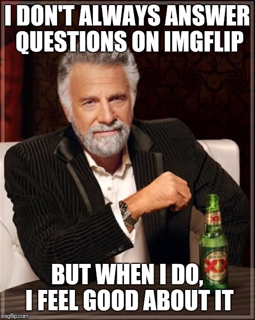 The Most Interesting Man In The World Meme | I DON'T ALWAYS ANSWER QUESTIONS ON IMGFLIP BUT WHEN I DO, I FEEL GOOD ABOUT IT | image tagged in memes,the most interesting man in the world | made w/ Imgflip meme maker