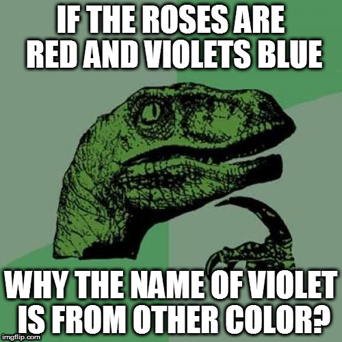 Philosoraptor | IF THE ROSES ARE RED AND VIOLETS BLUE; WHY THE NAME OF VIOLET IS FROM OTHER COLOR? | image tagged in memes,philosoraptor | made w/ Imgflip meme maker