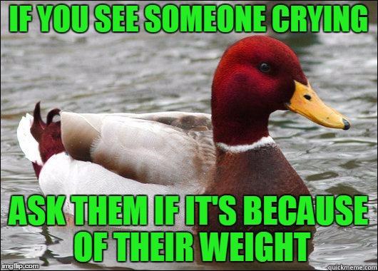 Zero ducks given. | IF YOU SEE SOMEONE CRYING; ASK THEM IF IT'S BECAUSE OF THEIR WEIGHT | image tagged in make actual bad advice mallard | made w/ Imgflip meme maker