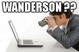 Searching Computer | WANDERSON ?? | image tagged in searching computer | made w/ Imgflip meme maker
