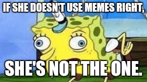 Mocking Spongebob Meme | IF SHE DOESN'T USE MEMES RIGHT, SHE'S NOT THE ONE. | image tagged in spongebob mock | made w/ Imgflip meme maker