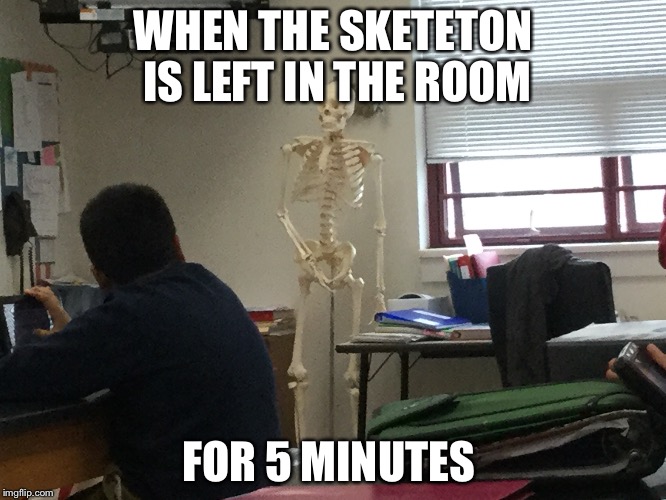 Aggressive  | WHEN THE SKETETON IS LEFT IN THE ROOM; FOR 5 MINUTES | image tagged in funny memes | made w/ Imgflip meme maker