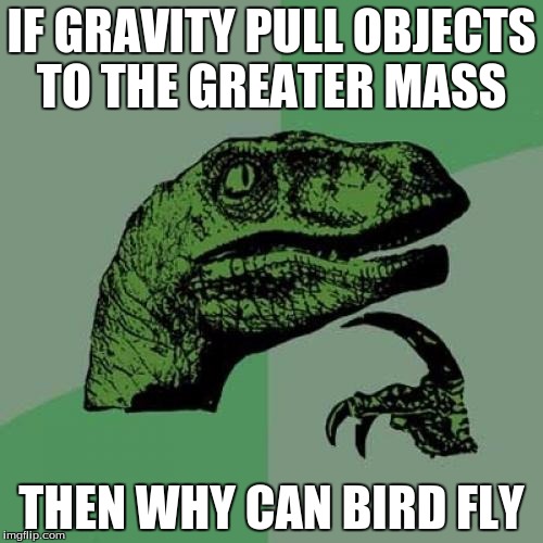 Philosoraptor | IF GRAVITY PULL OBJECTS TO THE GREATER MASS; THEN WHY CAN BIRD FLY | image tagged in memes,philosoraptor | made w/ Imgflip meme maker