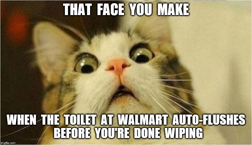 Walmart auto flush toilets | THAT  FACE  YOU  MAKE; WHEN  THE  TOILET  AT  WALMART  AUTO-FLUSHES  BEFORE  YOU'RE  DONE  WIPING | image tagged in memes,walmart,funny | made w/ Imgflip meme maker