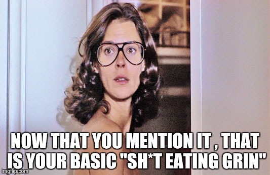 Jobeth Williams | NOW THAT YOU MENTION IT , THAT IS YOUR BASIC "SH*T EATING GRIN" | image tagged in jobeth williams | made w/ Imgflip meme maker