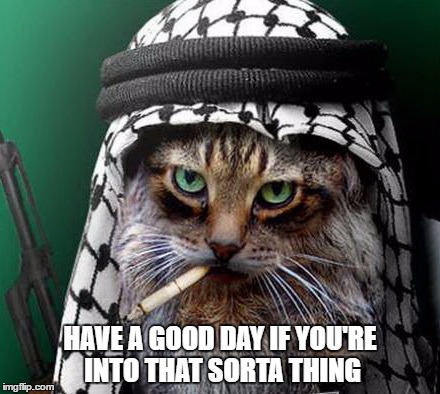 Sarcastic Terrorist Cat | HAVE A GOOD DAY IF YOU'RE INTO THAT SORTA THING | image tagged in sarcastic terrorist cat | made w/ Imgflip meme maker