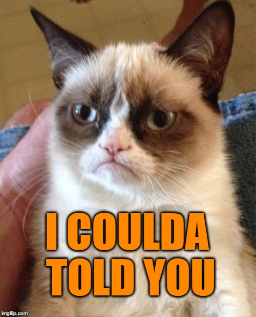 Grumpy Cat Meme | I COULDA TOLD YOU | image tagged in memes,grumpy cat | made w/ Imgflip meme maker